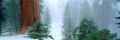 Filename=世间的美丽,常常要远远的欣赏002.jpg
Filesize=47KiB
Dimensions=600x200
Date added=Oct 25, 2008 世间的美丽,常常要远远的欣赏002.jpg
